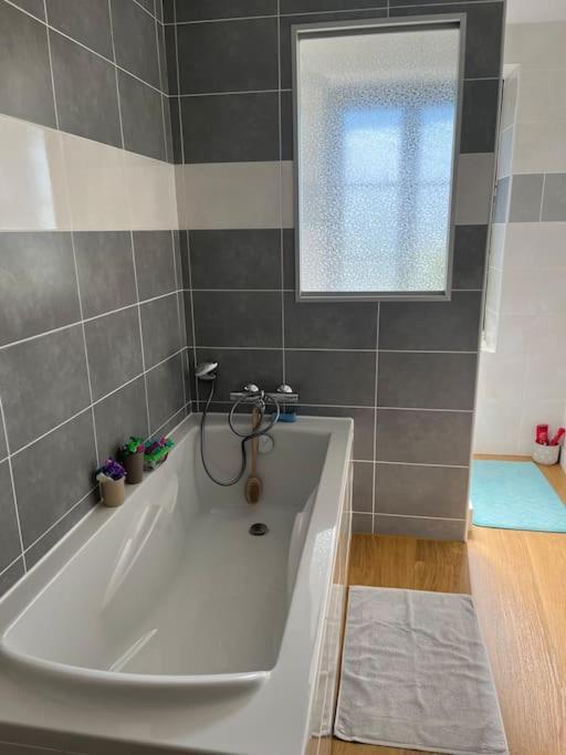 Charmant Appartement En Pierres Bourgoin-Jallieu Bagian luar foto