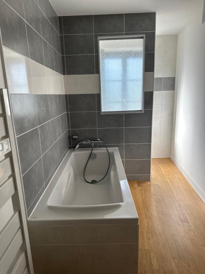 Charmant Appartement En Pierres Bourgoin-Jallieu Bagian luar foto